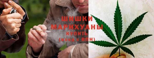 apvp Инта