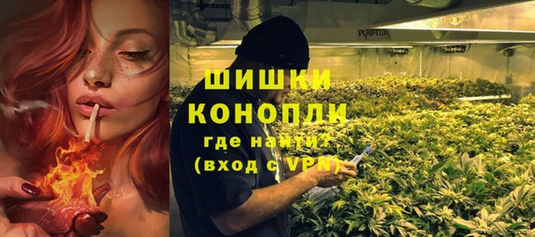 крисы Зерноград