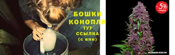 apvp Инта