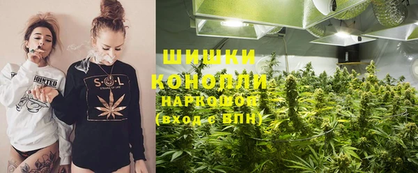 apvp Инта
