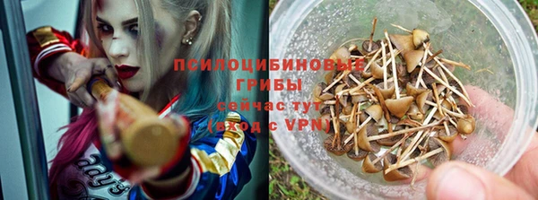 apvp Инта
