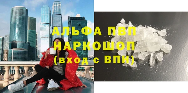 apvp Инта