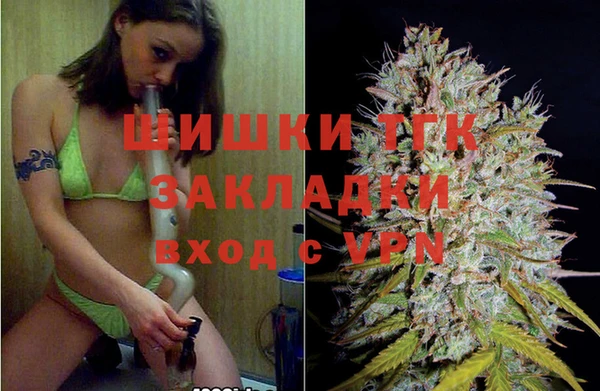 apvp Инта