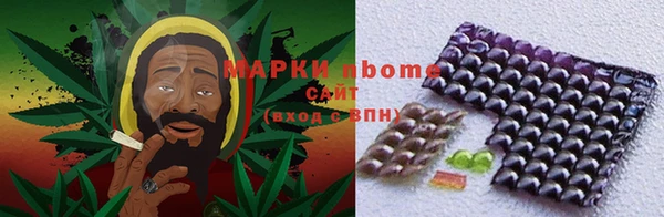 apvp Инта