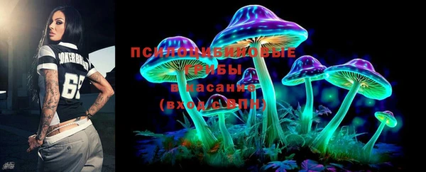 apvp Инта