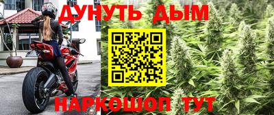 прущие крисы Ирбит