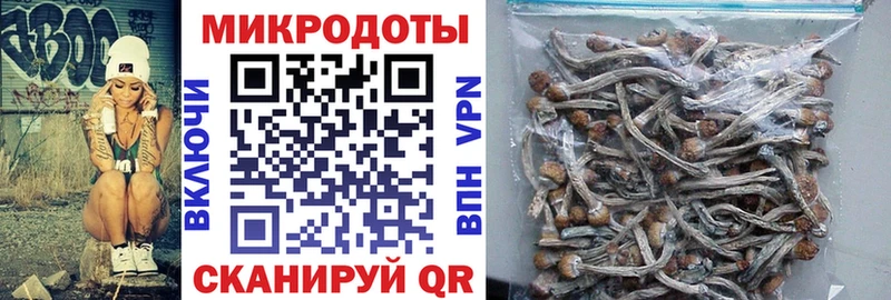 Псилоцибиновые грибы Psilocybe  Ишимбай 